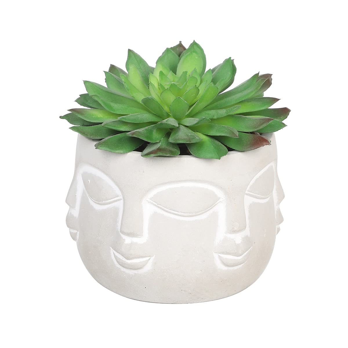 Artificial Succulent Plants